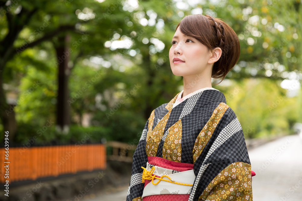 着物を着た女性 着物を着た女性