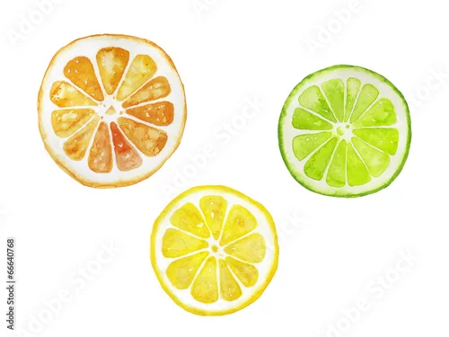 Naklejka na ścianę Akwarela ilustracja pomarańczy, cytryny i limonki