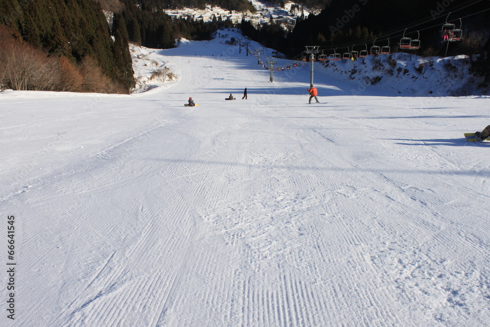 Fototapeta premium スキー場