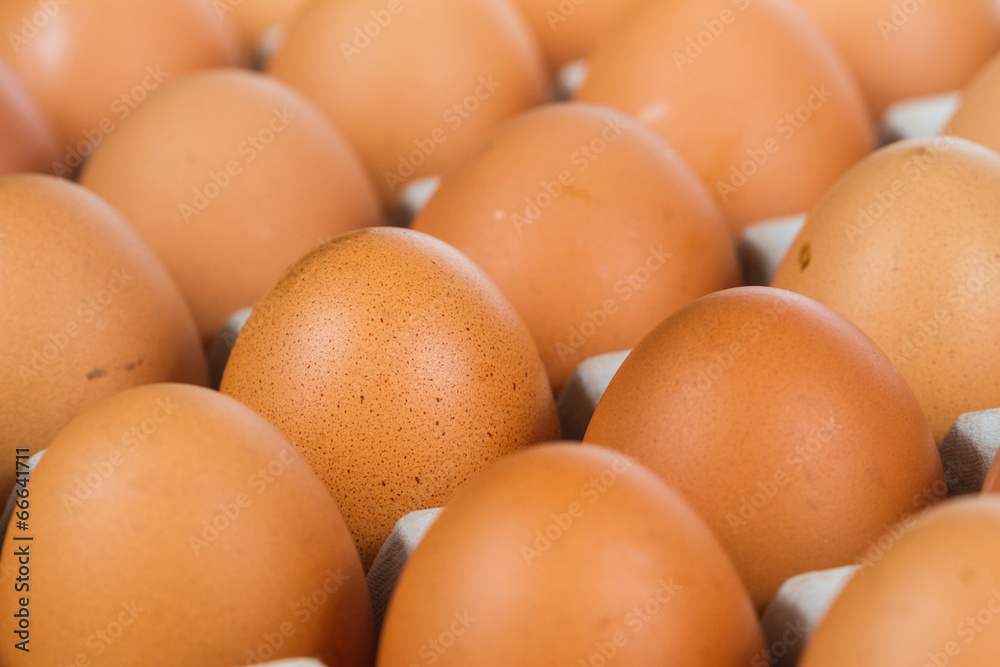 Egg in carton box Egg in carton box