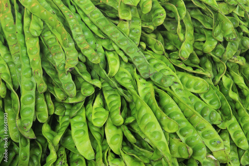 Parkia speciosa