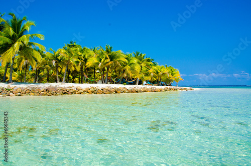 Paradise Beach on beautiful island South Water Caye - Belize