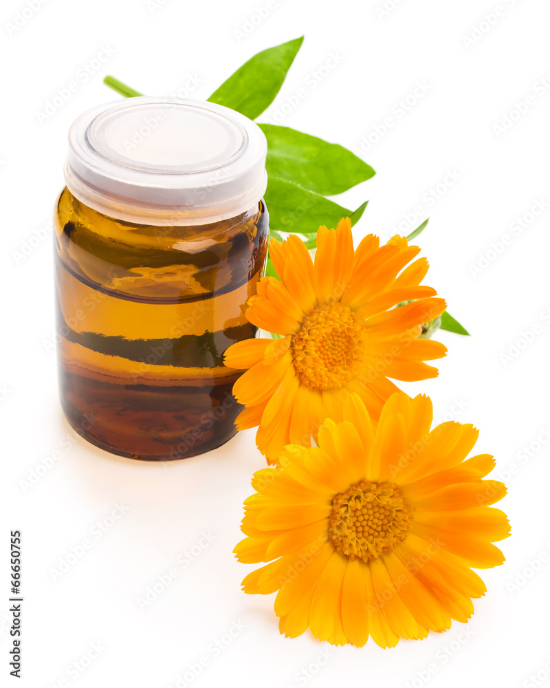 medicine bottles and dried calendula flower, isolated on white