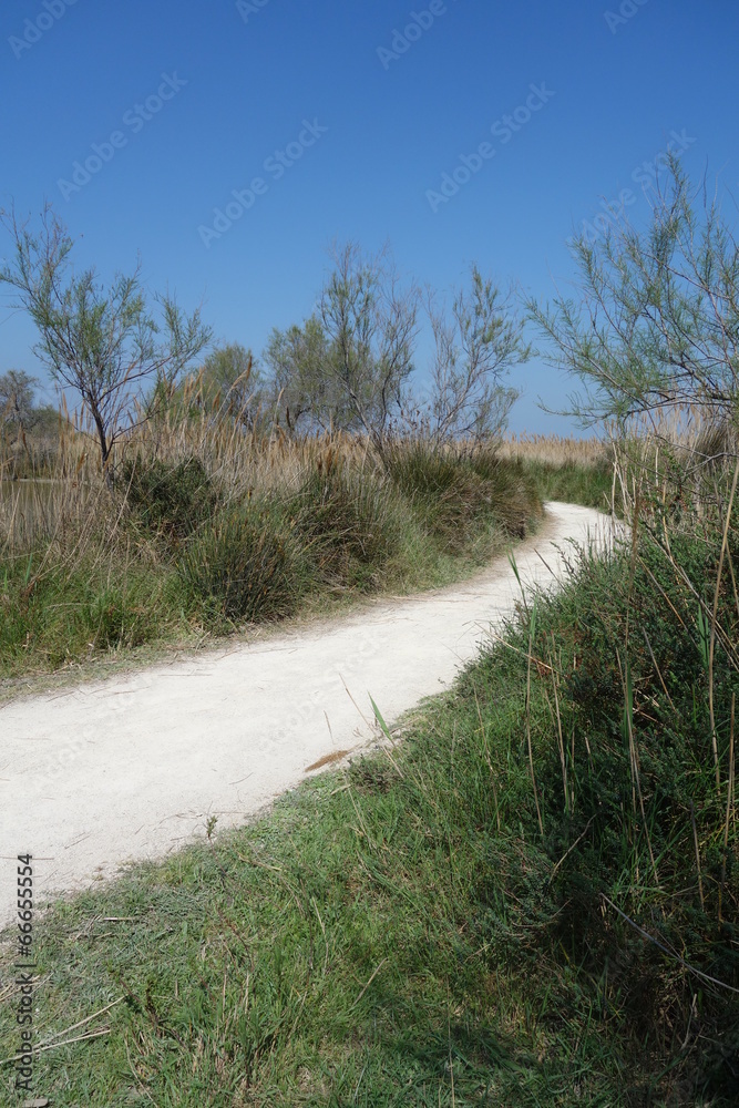 Fototapeta premium Bright White Path