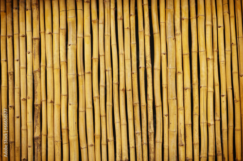 Bambuswand 01