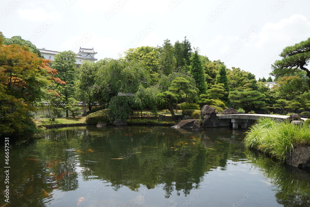 Fototapeta premium 新緑の好古園と姫路城
