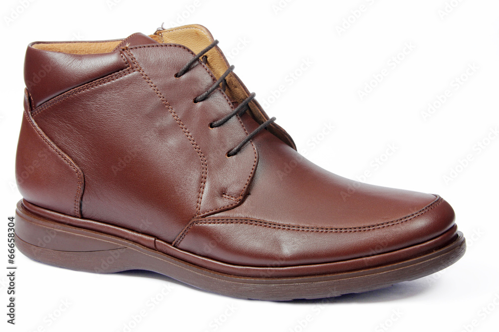 Shoe Shoe