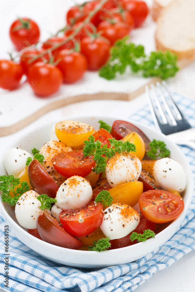 salad with mozzarella, fresh herbs and colorful cherry tomatoes salad with mozzarella, fresh herbs and colorful cherry tomatoes