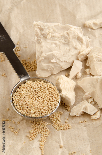 fresh and dried yeast on kitchen paper