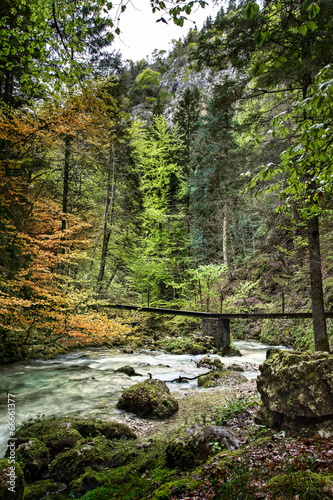 gorges noisy park of Vercors, department of Isere, France