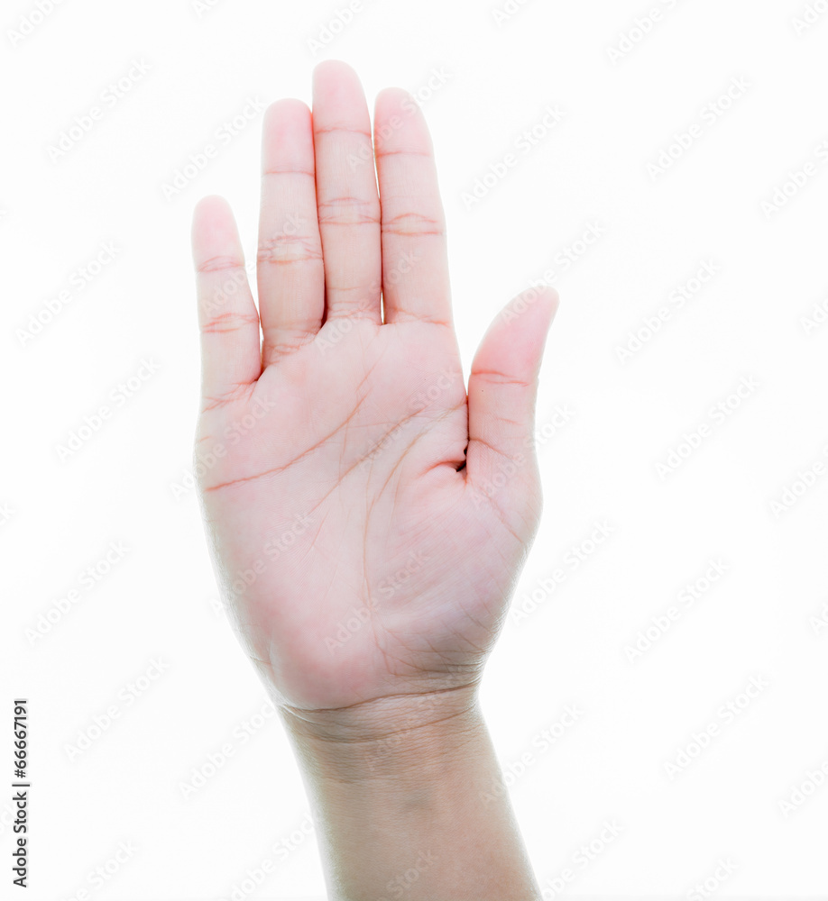 Woman hands holding isolate Woman hands holding isolate