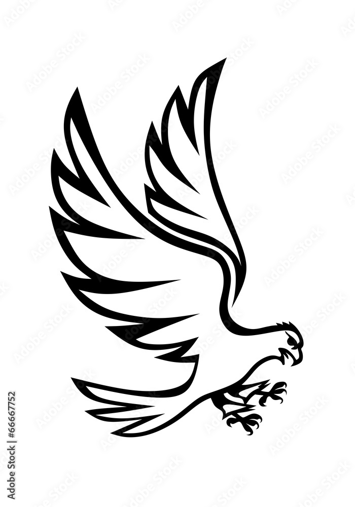 Obraz premium adler2406a