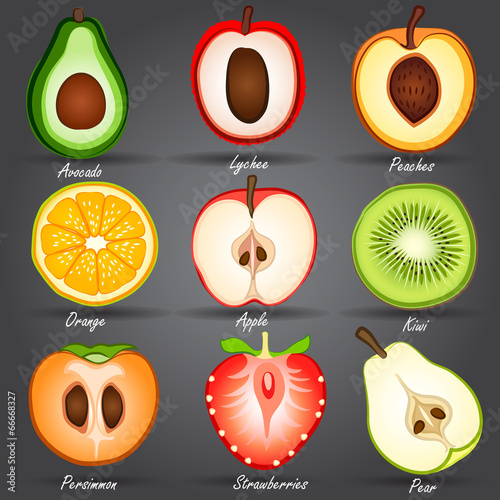 Collection of Fruits set vector,illustration