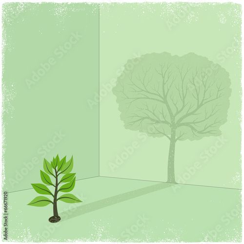 Sapling casting shadow of big tree
