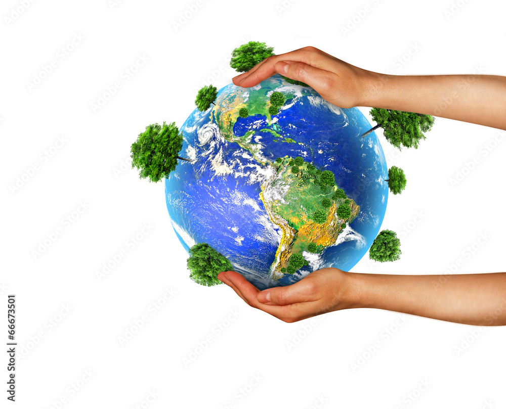 Globe with trees in hand Globe with trees in hand