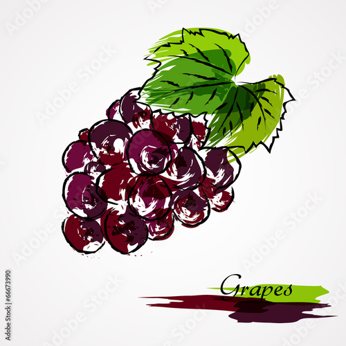 Grapes fruit