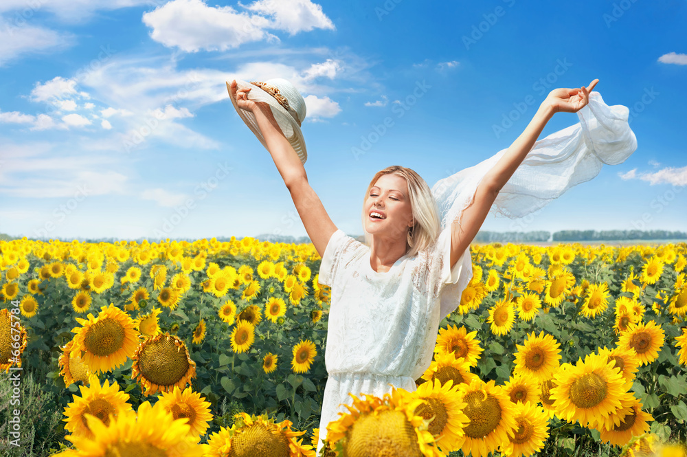 Naklejka premium Sunflowers