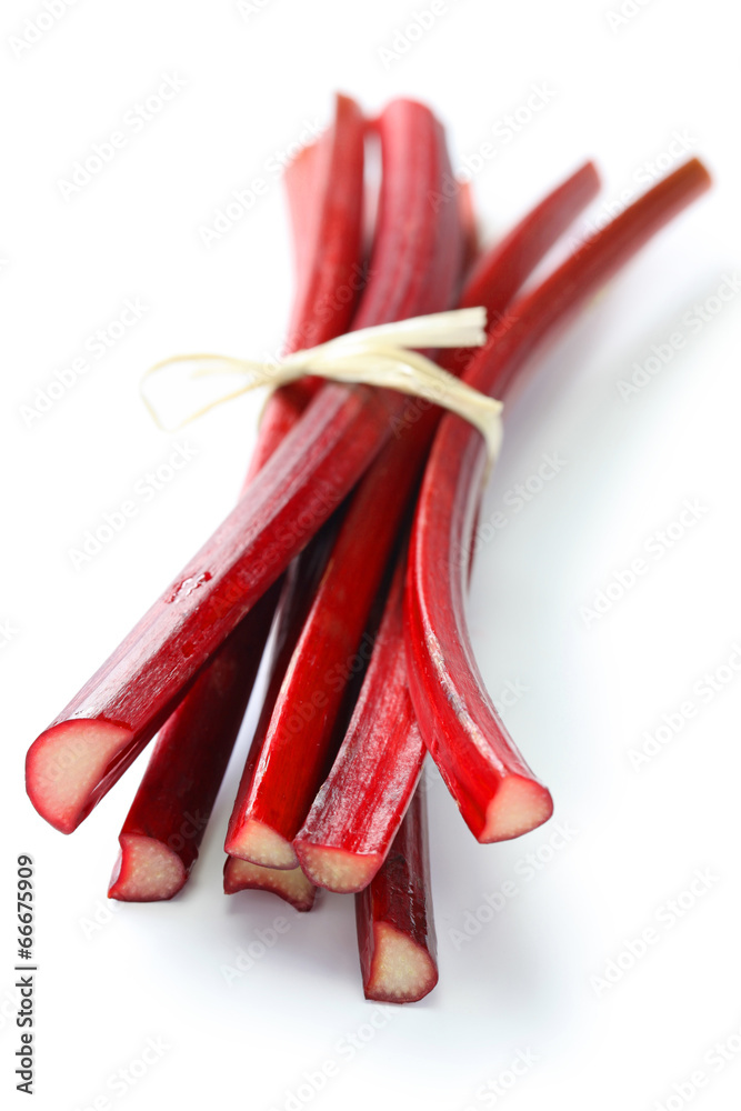 bundle of red rhubarb stalks on white background