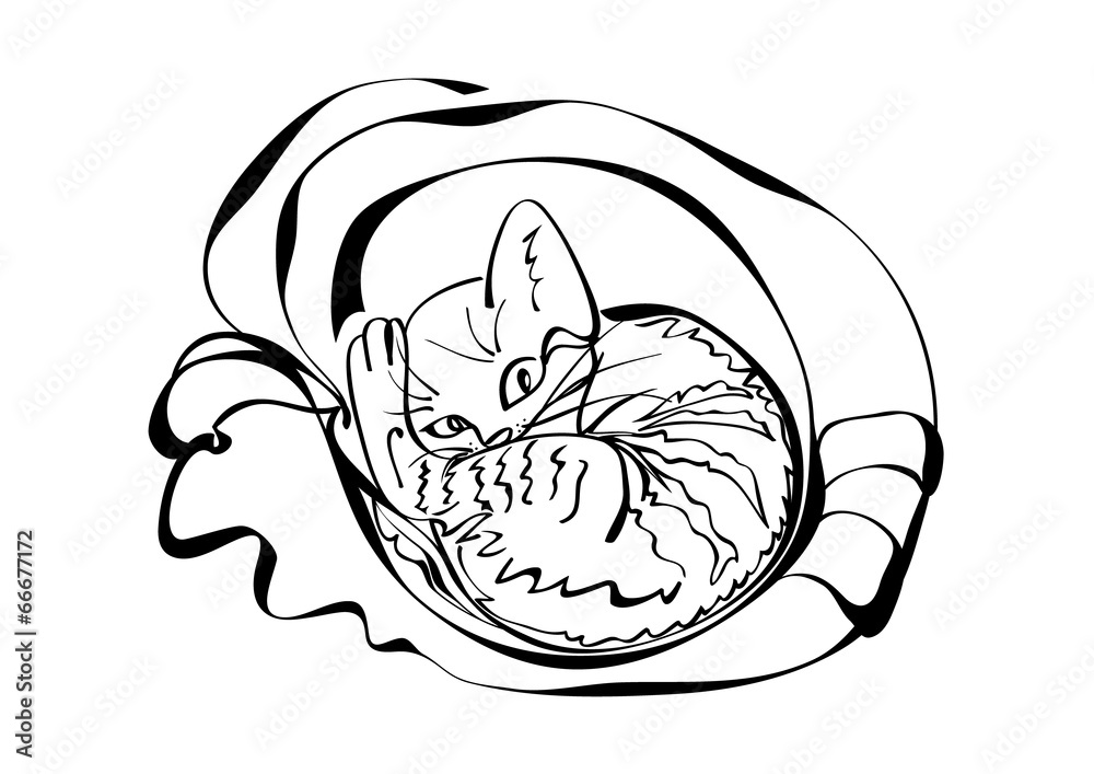 Sleepy cat relaxing in a cozy bed Sleepy cat relaxing in a cozy bed