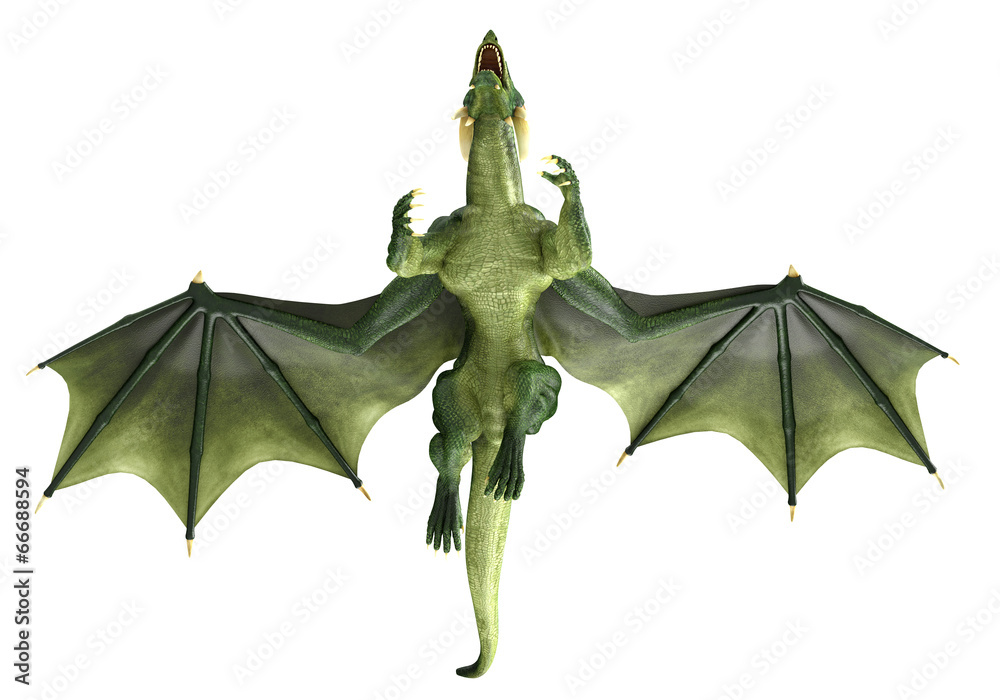 green dragon flying