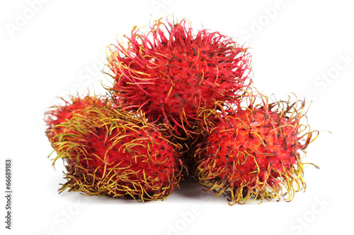 Tropical fruit rambutan