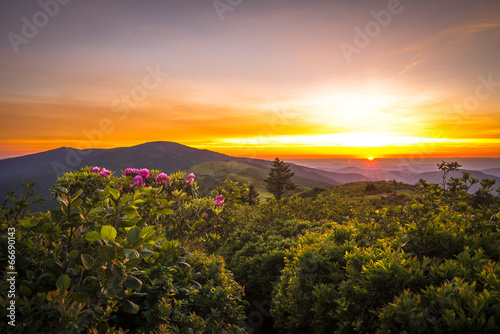 Photographie Roan Mountain Sunset