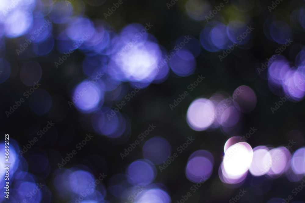 Blur focus light from tree. Blur focus light from tree.