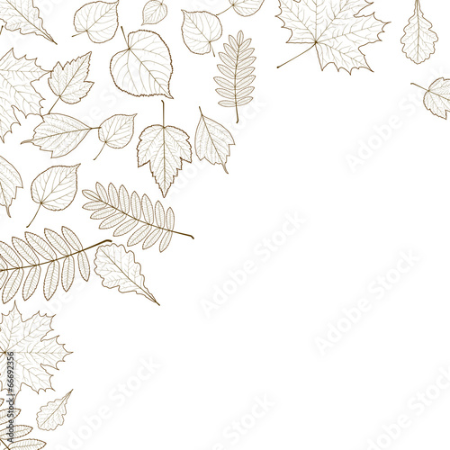 Autumn color leaves background template.