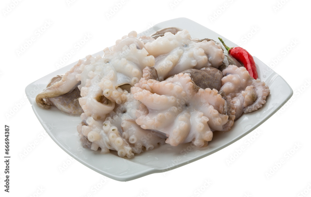 Raw octopus Raw octopus