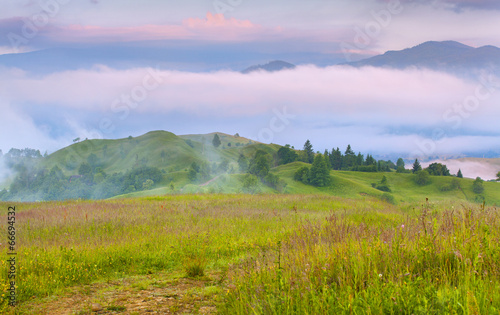 Foggy summer morning in the mountains.