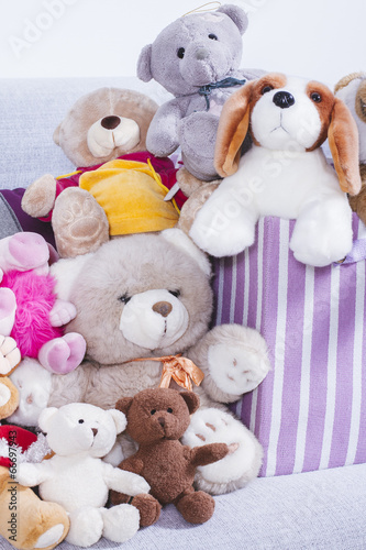 Stuffed animal toys in interior room