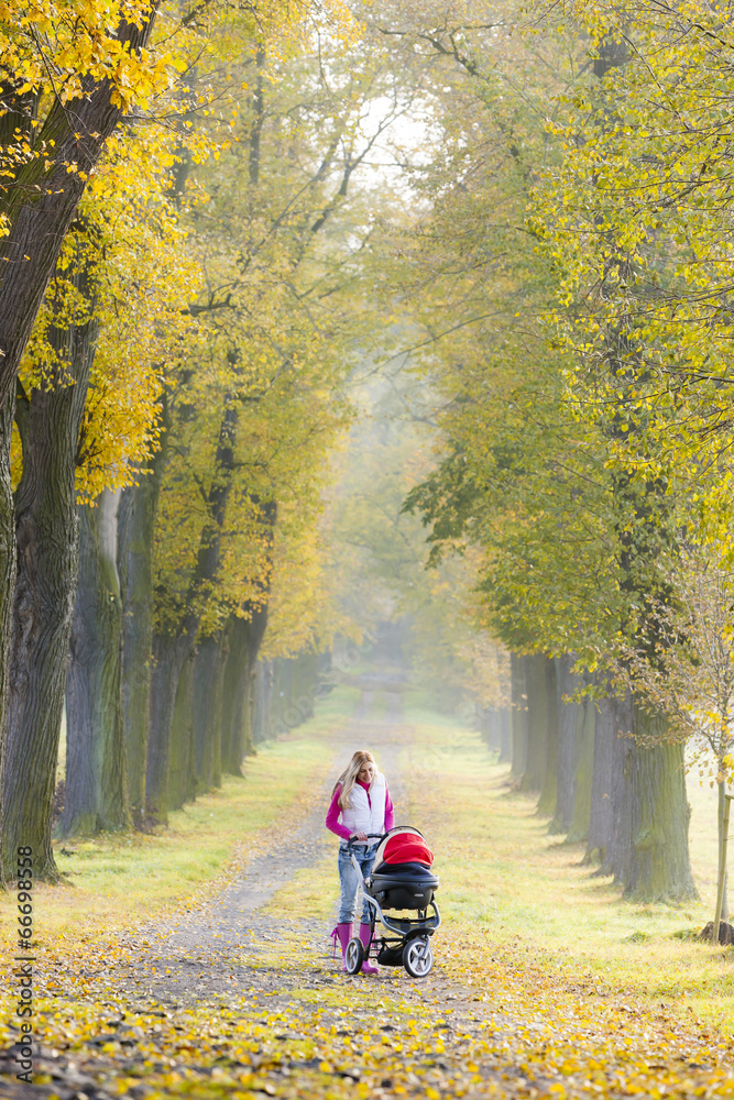 Fototapeta premium woman with a pram on walk in autumnal alley
