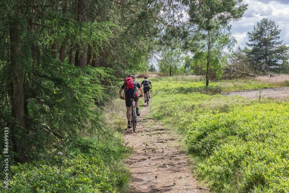 Mountainbiker