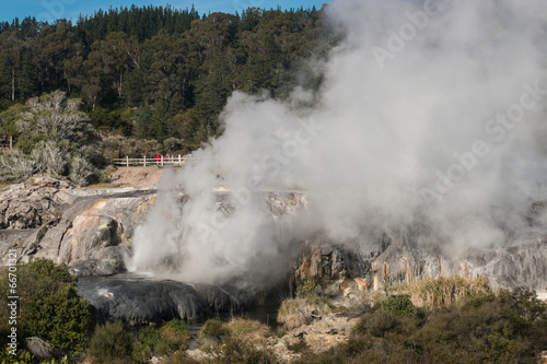 geothermal valley in Rotorua, New Zealand