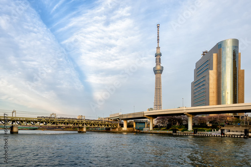 Canvas Print Tokyo sky tree