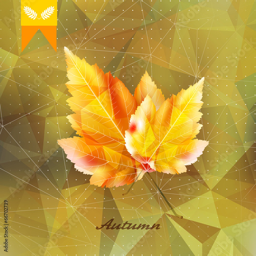 Autumnal leaf background made of triangles.