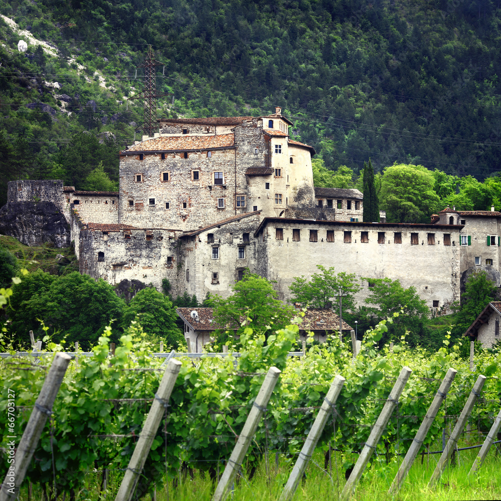 Obraz premium scenery of Italy - vineyards and castles ( Trento north)