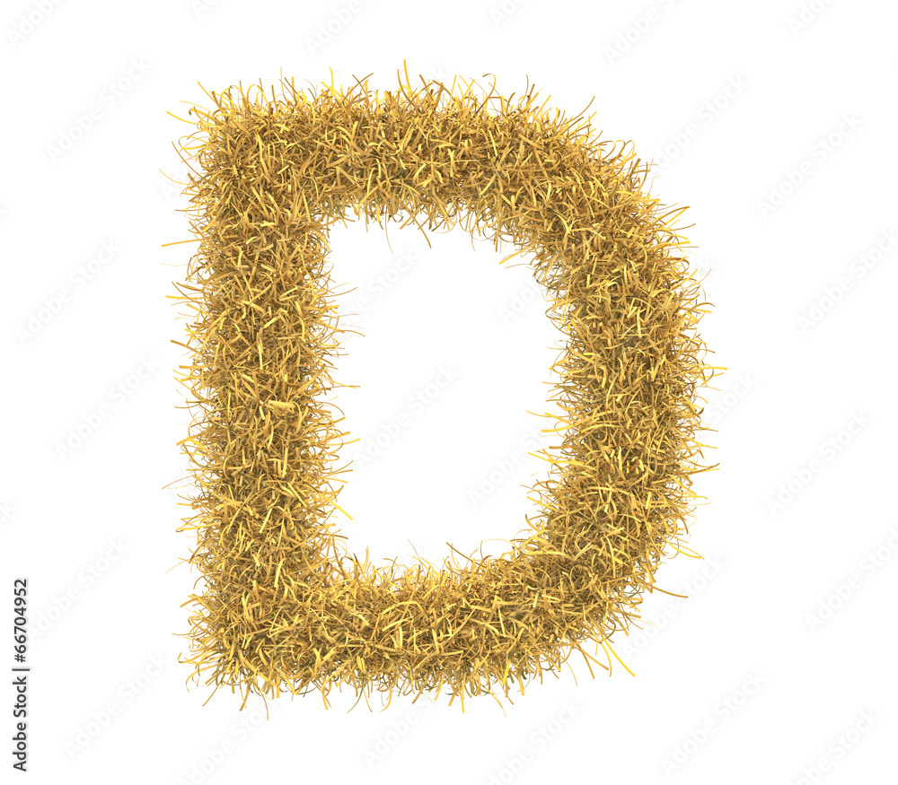 Letter D of hay isolated on white background Letter D of hay isolated on white background