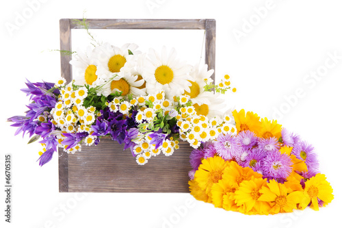 Fototapeta Naklejka Na Ścianę i Meble -  Beautiful flowers in crate isolated on white