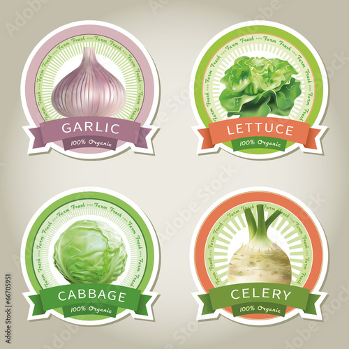 . Set of vector labels with vegetables and spices