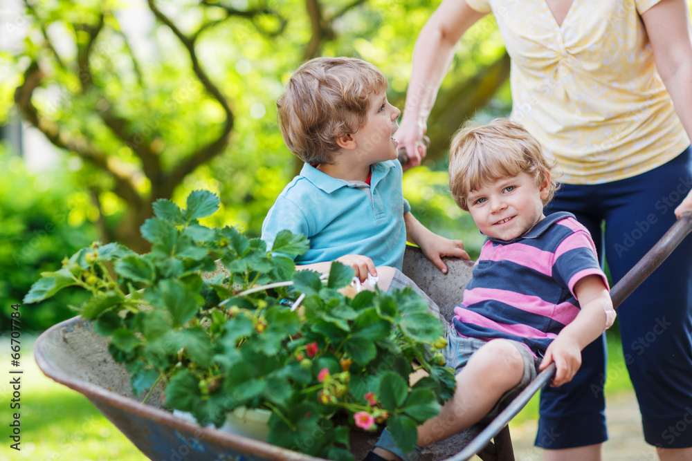 Two little boys having fun in a wheelbarrow Two little boys having fun in a wheelbarrow