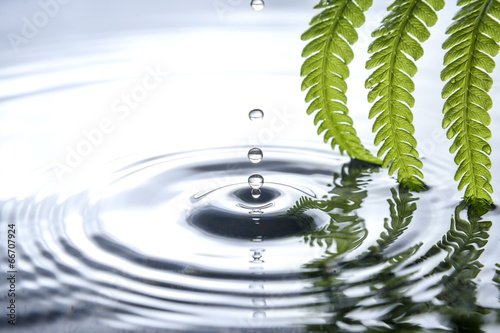 drop of water