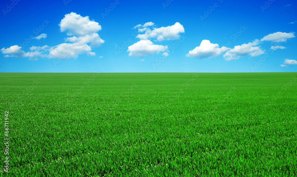 green field green field