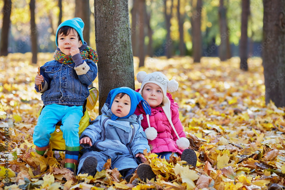 Three little children sits on ground on yellow fallen leaves Three little children sits on ground on yellow fallen leaves