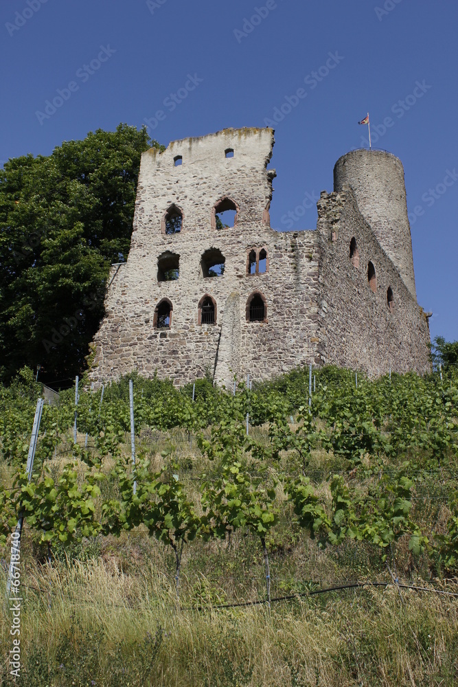 vineyard and ruin