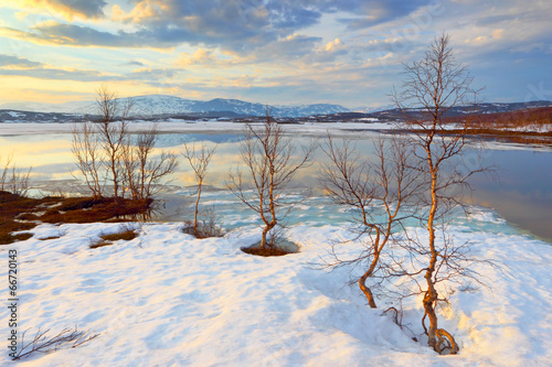 Abisko's national park. Sweden. Norrbotten. Lapland. Lake Torne photo