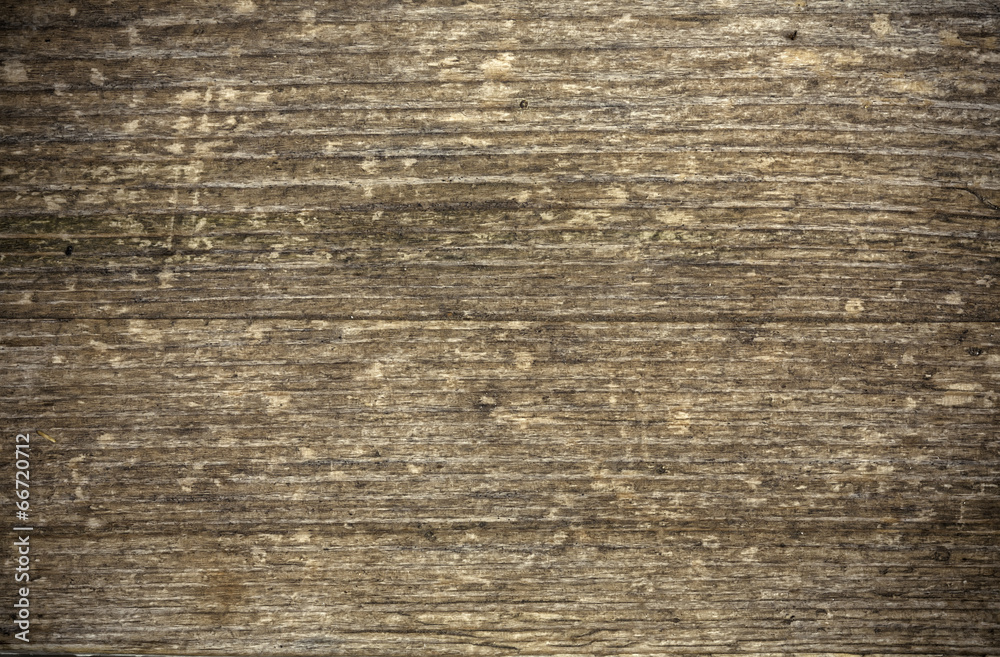 Wood texture Wood texture
