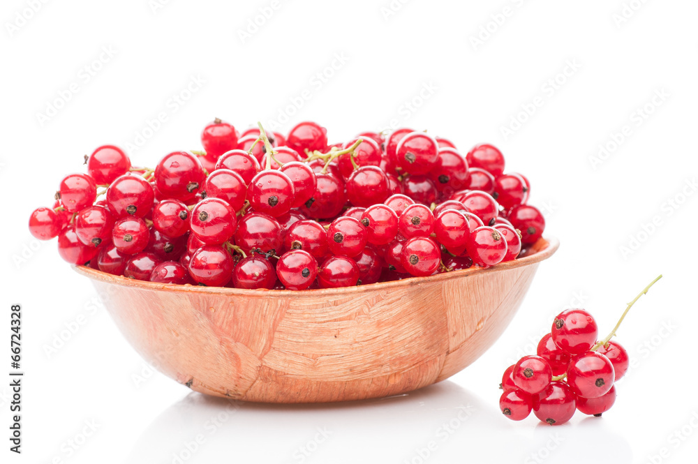 red currant in plate red currant in plate