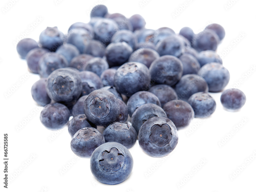 Blueberry isolated on white background Blueberry isolated on white background