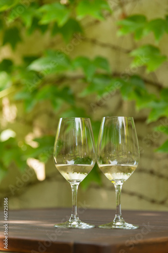 Wine tasting at Tokaj winery backyard, Hungary